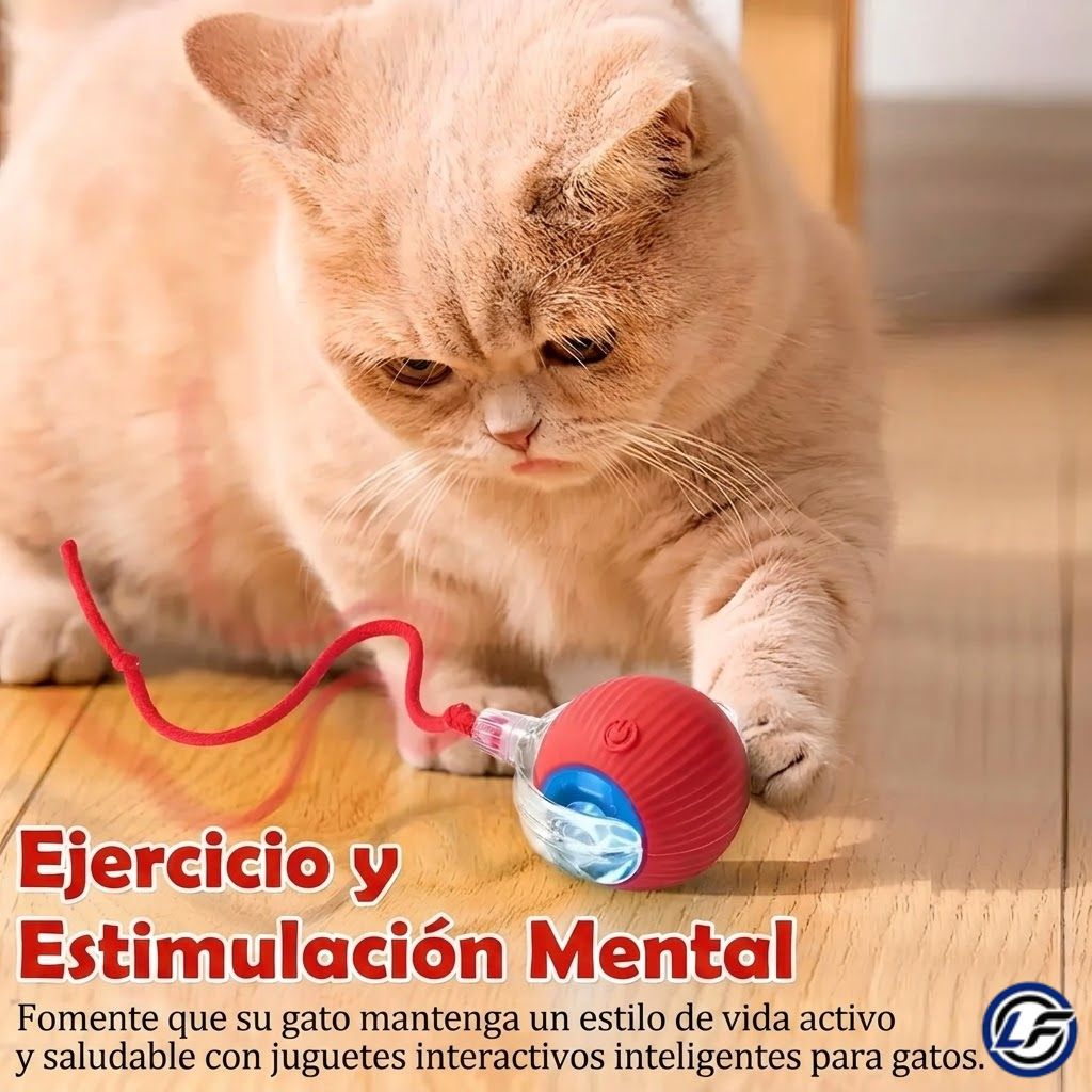 Pelota inteligente Mascota con cuerda
