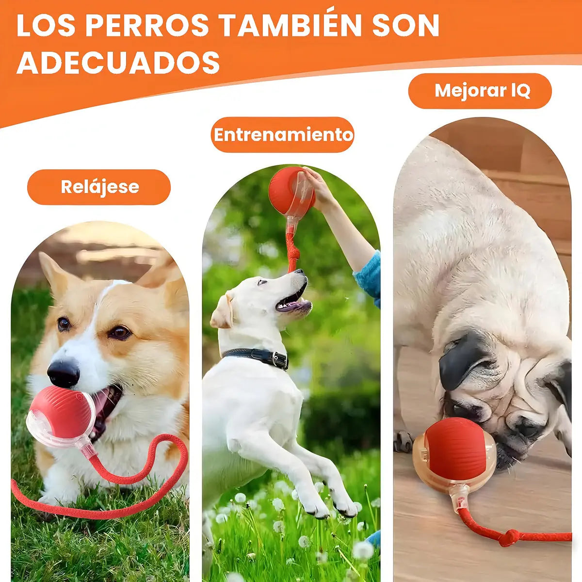 Pelota inteligente Mascota con cuerda