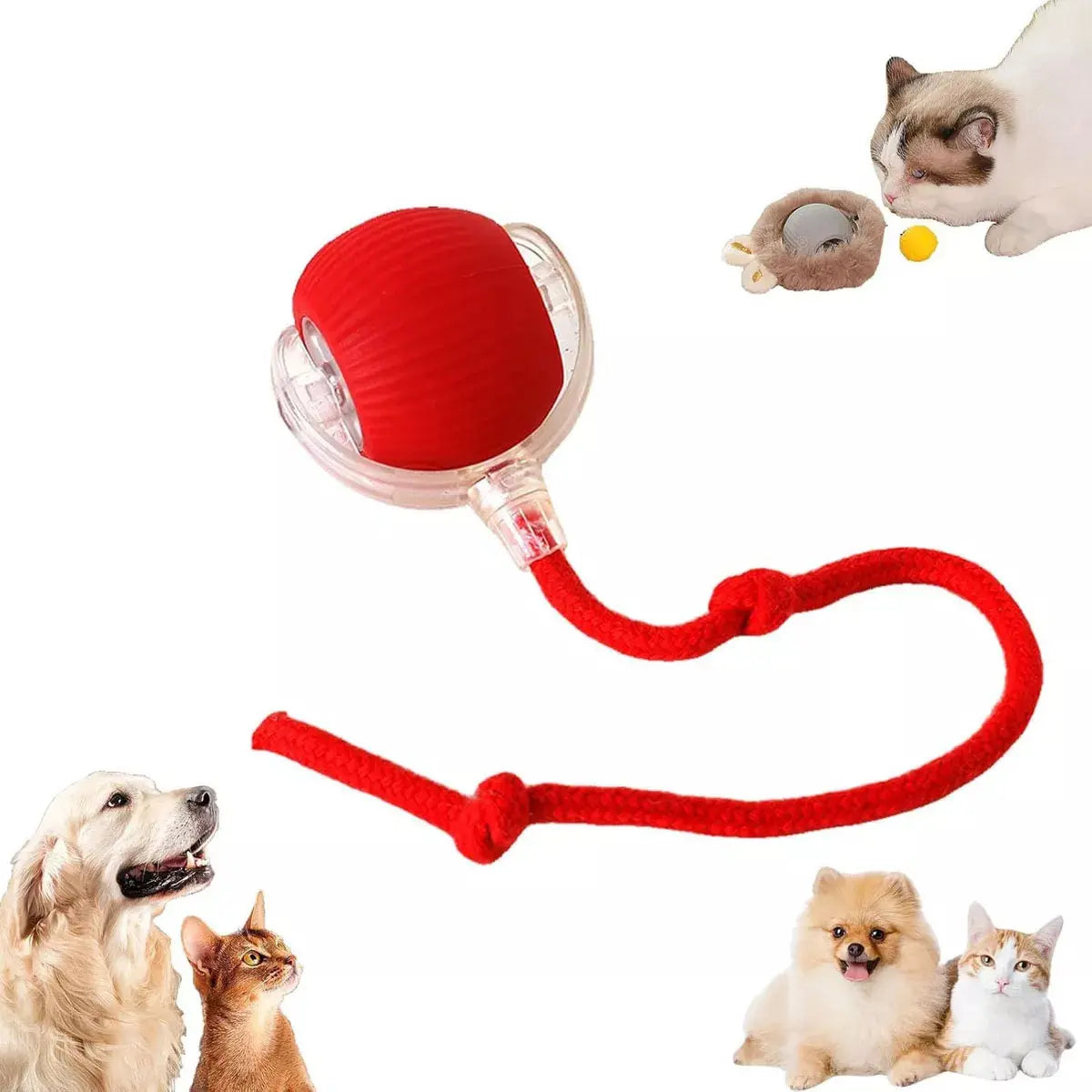 Pelota inteligente Mascota con cuerda