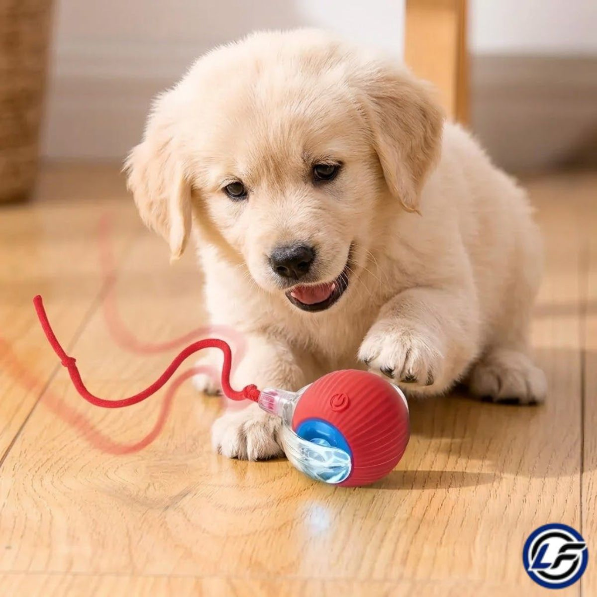 Pelota inteligente Mascota con cuerda