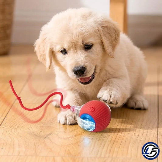 Pelota inteligente Mascota con cuerda